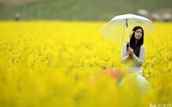 人蛇大战百度影音